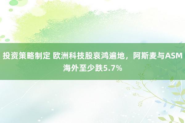 投资策略制定 欧洲科技股哀鸿遍地，阿斯麦与ASM海外至少跌5.7%