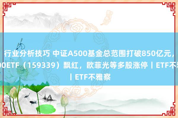 行业分析技巧 中证A500基金总范围打破850亿元，A500ETF（159339）飘红，欧菲光等多股涨停丨ETF不雅察