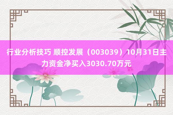 行业分析技巧 顺控发展（003039）10月31日主力资金净买入3030.70万元