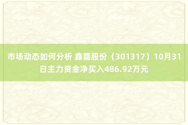 市场动态如何分析 鑫磊股份（301317）10月31日主力资金净买入486.92万元