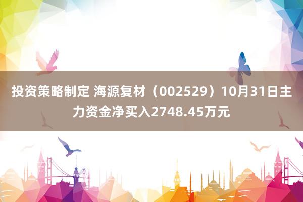 投资策略制定 海源复材（002529）10月31日主力资金净买入2748.45万元