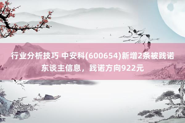 行业分析技巧 中安科(600654)新增2条被践诺东谈主信息，践诺方向922元