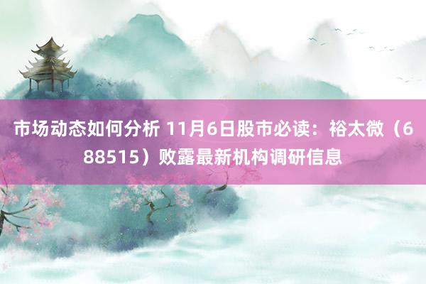 市场动态如何分析 11月6日股市必读：裕太微（688515）败露最新机构调研信息