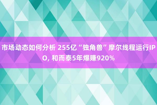 市场动态如何分析 255亿“独角兽”摩尔线程运行IPO, 和而泰5年爆赚920%