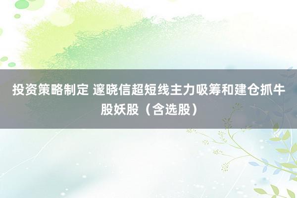 投资策略制定 邃晓信超短线主力吸筹和建仓抓牛股妖股（含选股）