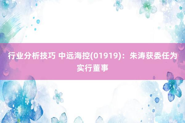 行业分析技巧 中远海控(01919)：朱涛获委任为实行董事