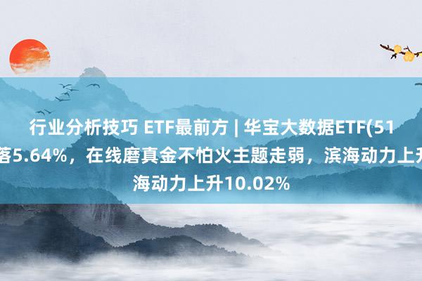 行业分析技巧 ETF最前方 | 华宝大数据ETF(516700)着落5.64%，在线磨真金不怕火主题走弱，滨海动力上升10.02%