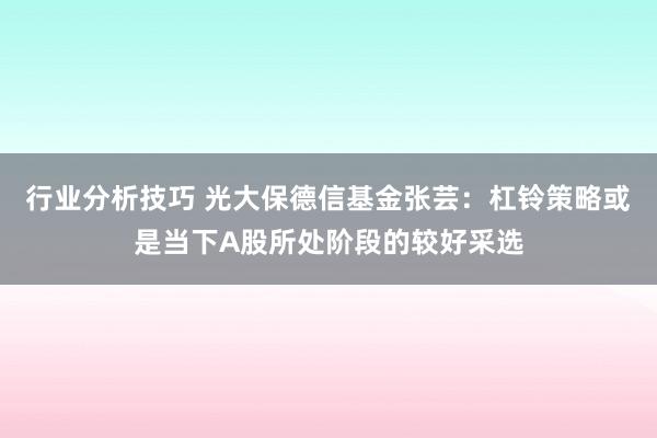 行业分析技巧 光大保德信基金张芸：杠铃策略或是当下A股所处阶段的较好采选