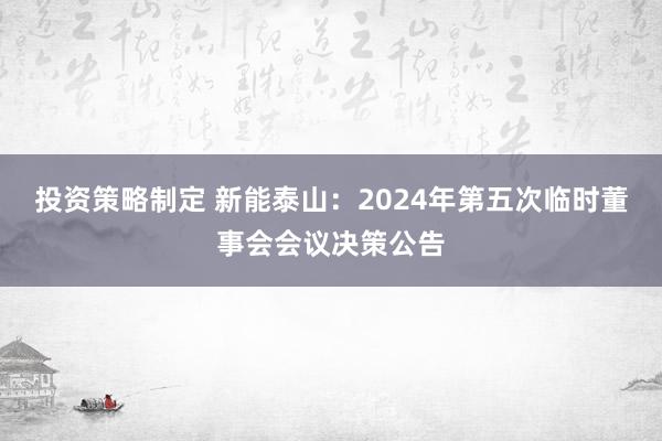 投资策略制定 新能泰山：2024年第五次临时董事会会议决策公告