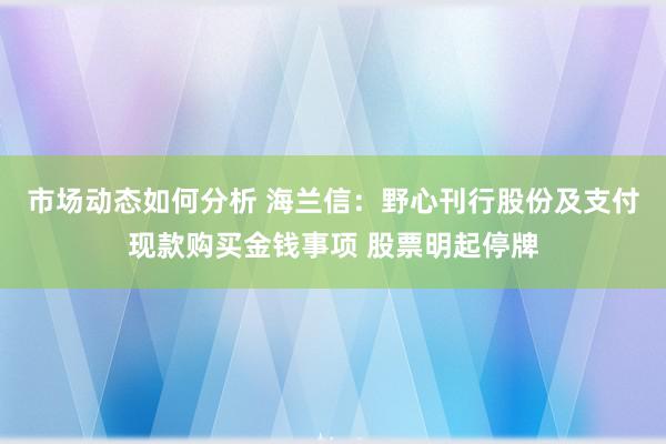 市场动态如何分析 海兰信：野心刊行股份及支付现款购买金钱事项 股票明起停牌