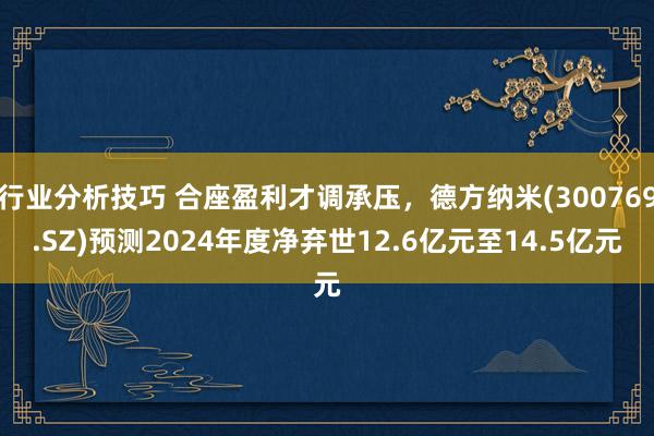 行业分析技巧 合座盈利才调承压，德方纳米(300769.SZ)预测2024年度净弃世12.6亿元至14.5亿元