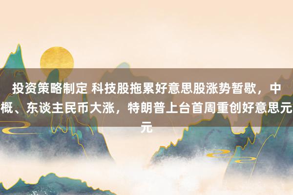 投资策略制定 科技股拖累好意思股涨势暂歇，中概、东谈主民币大涨，特朗普上台首周重创好意思元