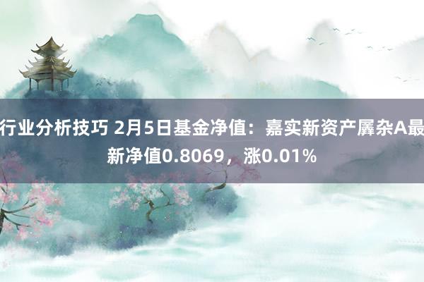 行业分析技巧 2月5日基金净值：嘉实新资产羼杂A最新净值0.8069，涨0.01%