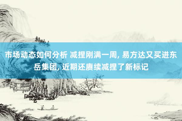 市场动态如何分析 减捏刚满一周, 易方达又买进东岳集团, 近期还赓续减捏了新标记